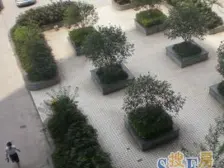 石坪桥 阳光心殿三房