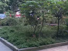 七星岗 地母亭二房59.8万