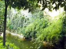 照母山旁边9房顶跃280平套内加露台精装修壹佰万