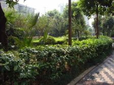 红旗河沟轻轨房、水、电、气三通、业主诚心出售