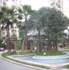 御景台3室1厅南
