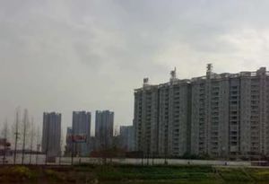 御景台 2室1厅 南