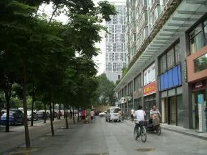 阳光3652室1厅东南