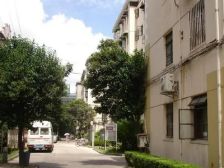 金杨新村三街坊3室1厅南