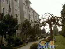 南苑八村 1室1厅 南