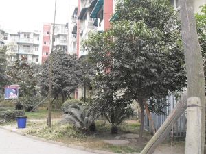恒和华园2室1厅东南