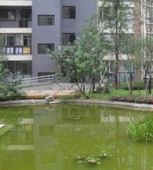 蓝岸丽景4室1厅东南南