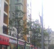 秀舍天涯 1室1厅 南