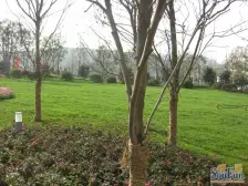 茶园新区 同景国际城迈上(W组团)二房43万