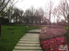 茶园新区 同景国际城迈上(W组团)三房56万