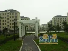 张江东+2号线+唐镇国际社区+刚需盘+位置好+诚意卖