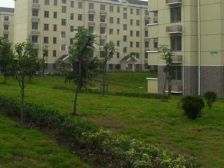 诚意出租 大三房 位置好 价格好谈