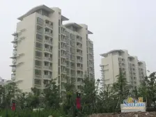 中环边,飞机户型,大三房,南北通透