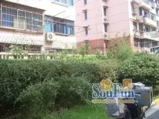 古美罗阳·古美小区·1室·1厅