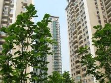 珠江玫瑰花园(公寓)2室1厅南