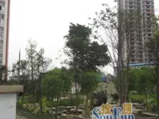 农业园区 春光港湾二房52万