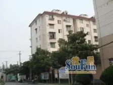 黎明花园 1室1厅 南 北