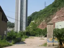 凤天竹园 1室1厅 东南