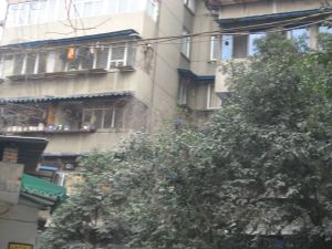 九里堤北路42号院2室1厅南