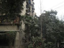 九里堤北路42号院2室1厅东南