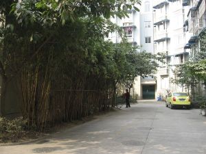 九里阳光1室1厅东南