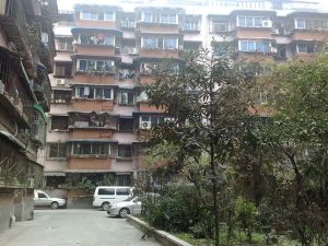 协和花苑 2室1厅 东南