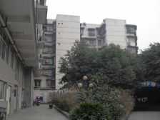 贝多小屋 1室1厅 东