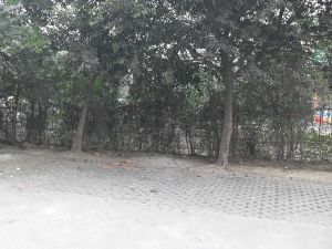 贝多小屋1室0厅东南