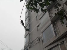 贝多小屋 1室1厅 东南