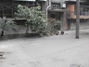 互助路3室1厅东南