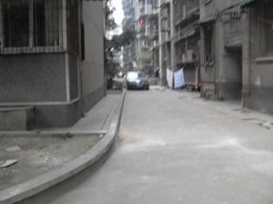 花照壁小区一期2室1厅西南