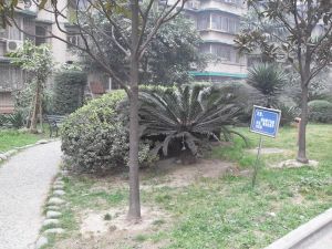 华西园4室2厅东南