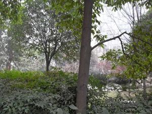 圃园小筑1室1厅南