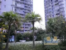 谢家湾 文化一村二房36万