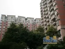 紧凑户型 户型通透 采光好 楼层适中