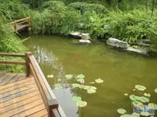 鱼洞 香林华府(巴南)二房