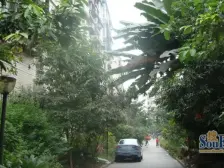 南桥寺 明瑜恒康佳苑二房53万