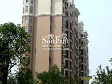 此房采光充足 视野开阔 可以领包入住