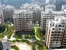 滨江精装通透两房,拎包入住,诚心出售