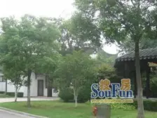 大花园独栋,中式园林风,亭台楼阁,环境很nice