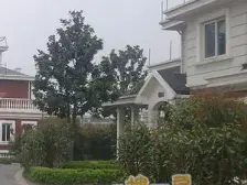 小区蕞佳位置, 满五年,苏式石库门风格,