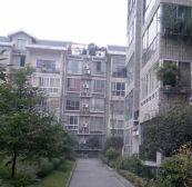 大地新光华广场 1室0厅 东南