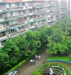 欣民苑3室1厅东南