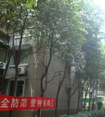 卫居苑3室2厅东