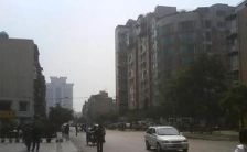 财经商住楼 1室0厅 西南