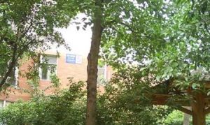 新玉林城市公寓2室1厅东
