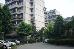 西祥公寓1室1厅东南