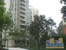 金色港湾3-2-1-1 153.00m2 180 万