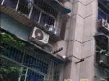 汉渝路 2室1厅 南 西南