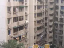 (树)(人)正规两房 带电梯和屋顶花园 业主诚心出售